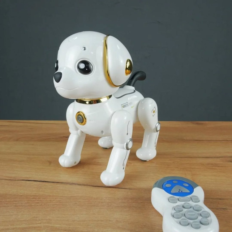 اسباب بازی تویز نینا اندیمشک