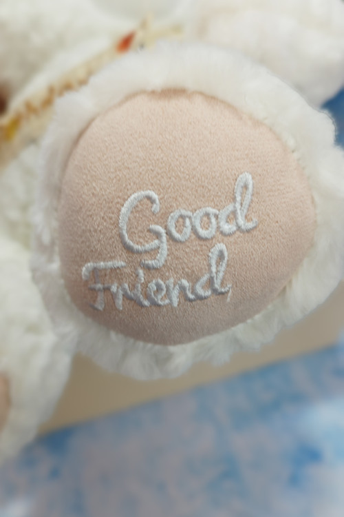 خرگوش تولدی